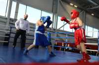 Юные боксеры сошлись на ринге в Центре спортивных единоборств Саяногорска