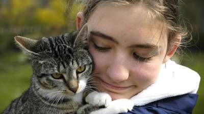 Ученые создают вакцину от аллергии на кошек
