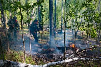 Лесной пожар тушат в Ширинском районе