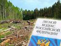 Хакасские арендаторы леса задолжали почти восемь миллионов рублей