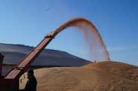Пополам с республикой: Бейское агрохозяйство приобрело новую зерносушилку стоимостью 6,5 млн рублей