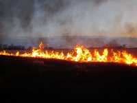 В Хакасии почти 38 тысяч земельных участков в зоне риска по пожарам