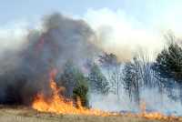 В прошлом году первый степной пожар был зарегистрирован 9 марта. Нынче 6 марта трёхкилометровый огненный фронт подошёл к домам в селе Шира, но был остановлен. 