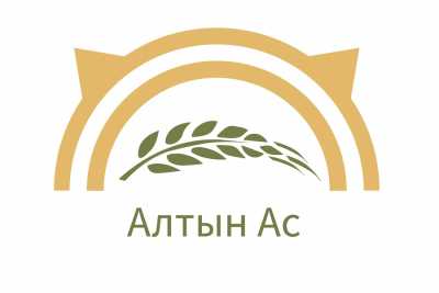 Для праздника «Алтын ас» выбрали долгожданный логотип