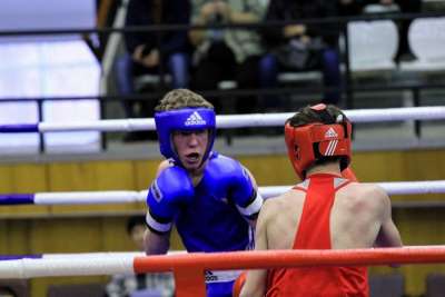 В Иркутске соберутся сильнейшие боксеры Сибири
