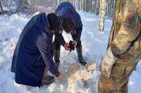 За полтора месяца «черные лесорубы» нанесли ущерб Хакасии на сумму в 176 тысяч рублей