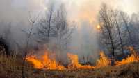 Три пожара тушат в лесах Хакасии