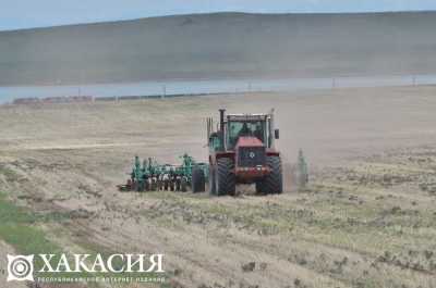 Картофельную нематоду искали в сельскохозяйственных землях Алтайского района