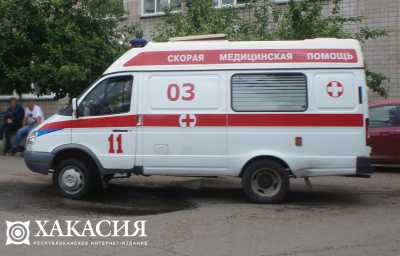В Хакасии два младенца пострадали в ДТП