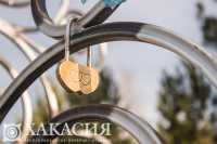 В Хакасии стали меньше жениться