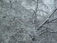 Обильный снегопад  в Хакасию принес юго-западный циклон