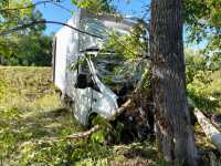 Грузовой фургон врезался в дерево в Хакасии