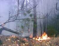 В Хакасии борются с огненной стихией в лесу