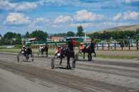 Соревнования конников прошли в Абакане