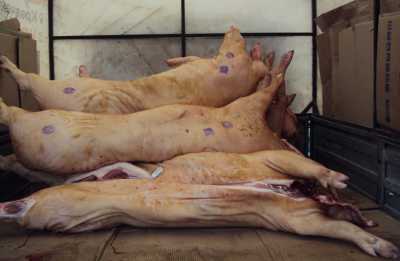 Подозрительные свиные туши хотели продать в Черногорске