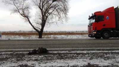В Хакасии разыскивают водителей КамАЗов, потерявших детали коробок передач