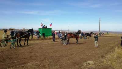 В Хакасии начались соревнования сельских конников