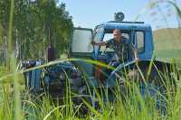 Механизатор Анатолий Иванников не нарадуется на нынешнюю урожайность травостоя. Говорит, что на таком поле через каждые 15 метров можно закручивать по рулону сена. 