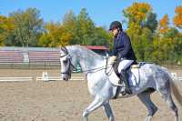 В Абакан съедутся мастера конного спорта на Всероссийские соревнования