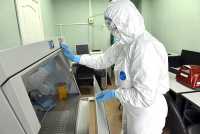 В шести лабораториях Хакасии за сутки 1 февраля протестировано на новую коронавирусную инфекцию 6270 человек. Это в два раза больше норматива, установленного на федеральном уровне. 