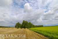 Пустующие земли в Хакасии вводят в сельхозоборот