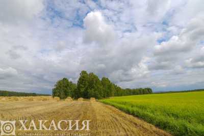 Пустующие земли в Хакасии вводят в сельхозоборот