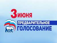 Что нужно знать о процедуре предварительного голосования «Единой России»