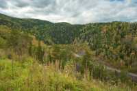 В Хакасии разрабатывается новый лесной план