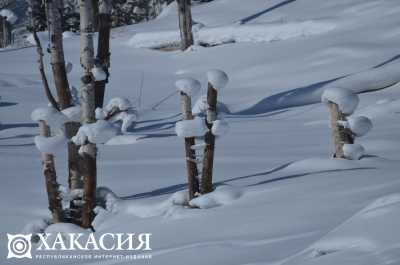 В Хакасии на выходных лютых морозов не ожидается