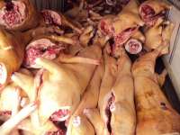 В Хакасии неправильно перевозили свинину и колбасу