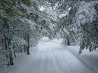 10 января синоптики пообещали в Хакасии снег и ветер