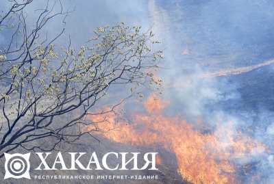 Хакасскому селу угрожала стена огня