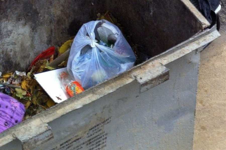 Младенец в мусорке новосибирск. Трупы в мусорных контейнерах.