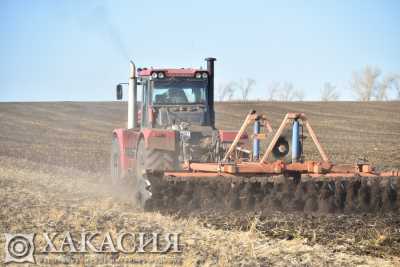 Погода повлияла на кормозаготовку ﻿и урожайность зерновых в Хакасии
