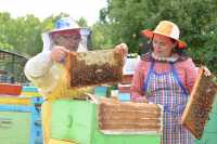 Для пчеловодов Хакасии наступило время сбора &quot;урожая&quot;