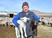 До того, как стать фермером, Сергей Чистанов 30 лет проработал в чарковской школе учителем физики и информатики. Собственное КФХ он открыл три года назад. Хозяйство началось с шести овец, которых Сергею Валерьевичу подарили родители. 