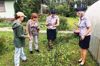 «Ветеранское подворье»: в УФСИН Хакасии стартовал садово-огородный конкурс