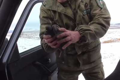 Охотника на краснокнижных хищных птиц поймали в Хакасии