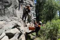 Есть над чем работать: спасатели МЧС тренировали на отвесной скале у Енисея