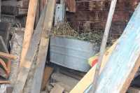 Житель Хакасии хранил маковую соломку в корыте