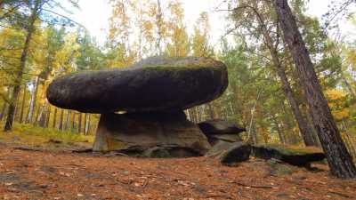 Жителей Хакасии приглашают посмотреть на гигантские каменные грибы