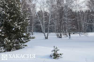 Декабрь в Хакасии будет мягким и снежным