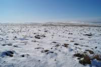 В трёх районах Хакасии из-за обильного снегопада введён режим ЧС