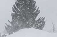 Мощный снегопад накрыл поселок в Хакасии