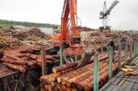 Через Хакасскую таможню вывезли лесоматериал на 25,5 миллионов долларов