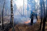 Накануне в пяти районах Хакасии горели леса