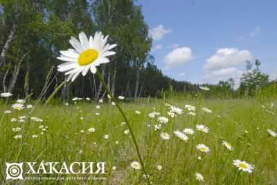 Лето в Хакасии: жара и грозы