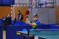 Крупные всероссийские соревнования по настольному теннису пройдут в Абакане