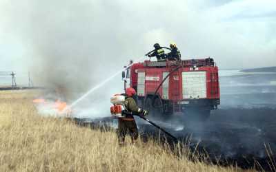 Одной из основных причин природных пожаров является выжигание сухой травы. 