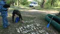 Рыбаков-браконьеров поймали в Хакасии с крупным уловом